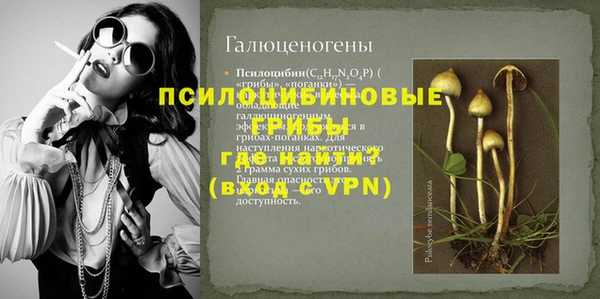 тгк Абаза