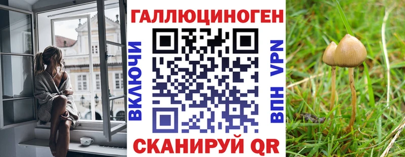 Галлюциногенные грибы прущие грибы  Нальчик 
