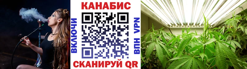 Бошки Шишки планчик Нальчик